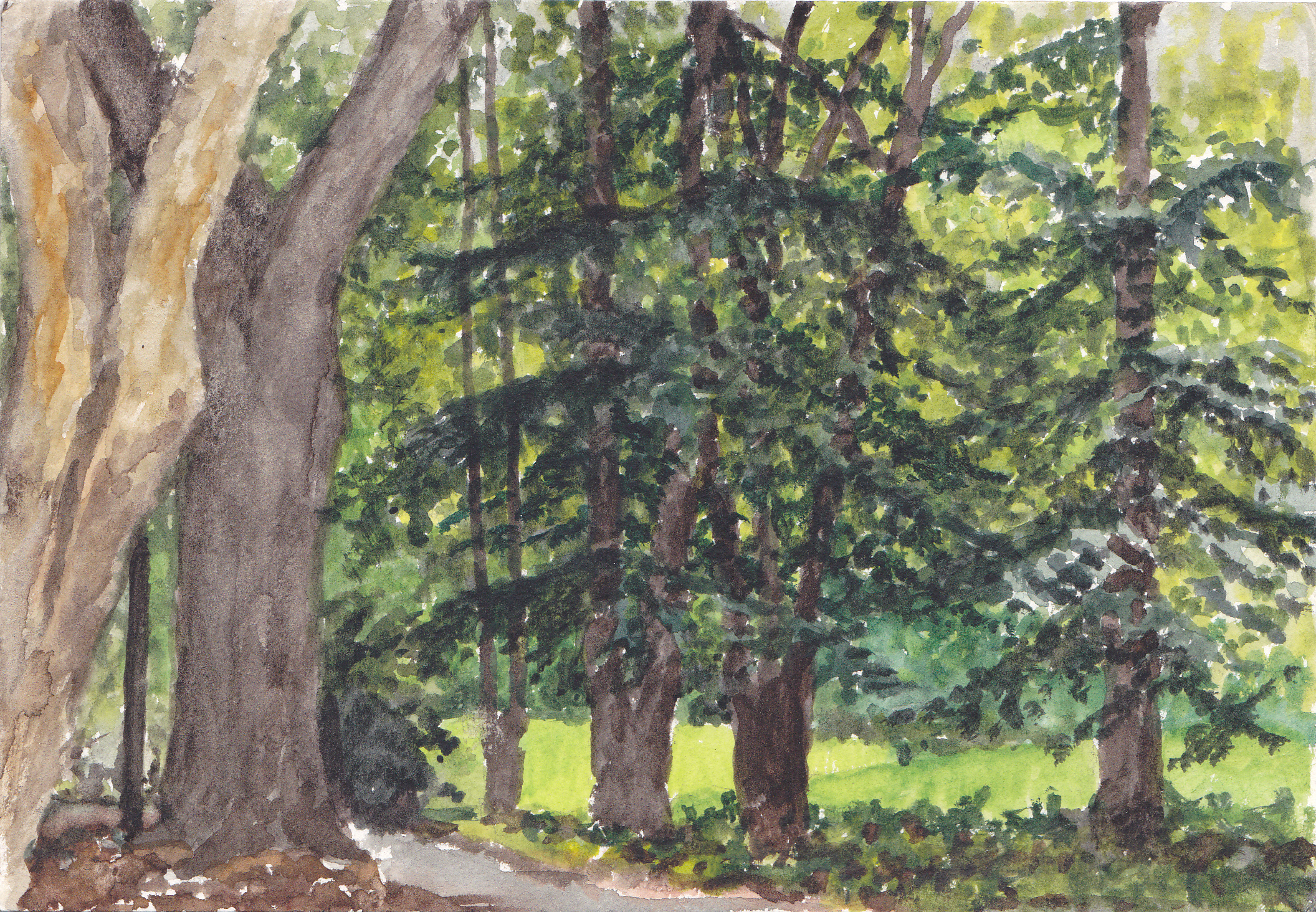 watercolour on paper