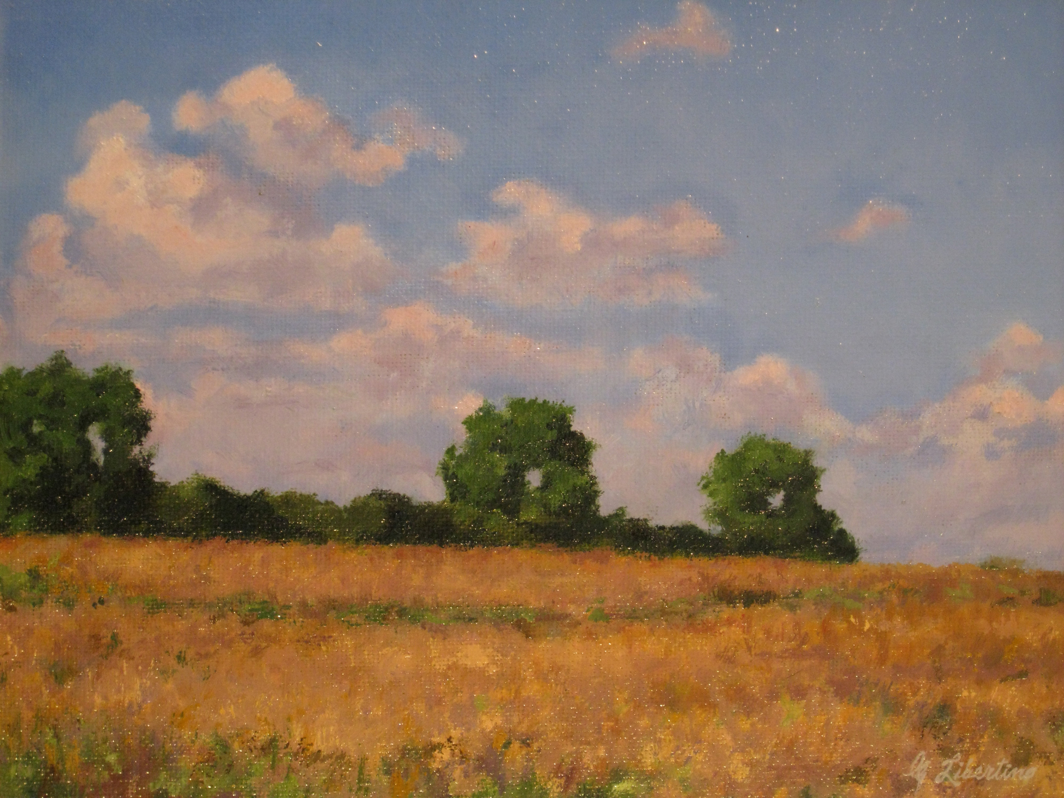 oil on canvas