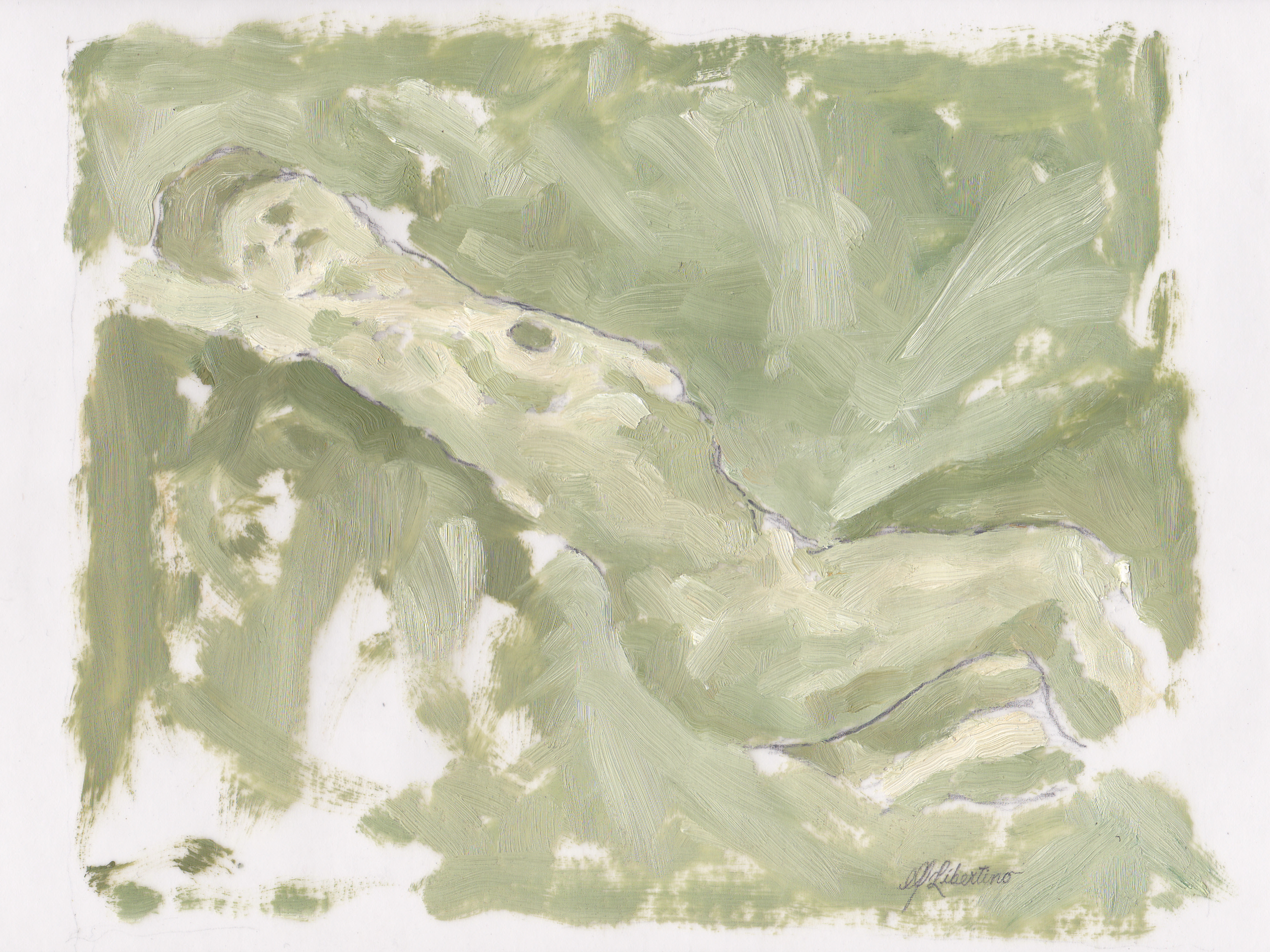 oil on vellum