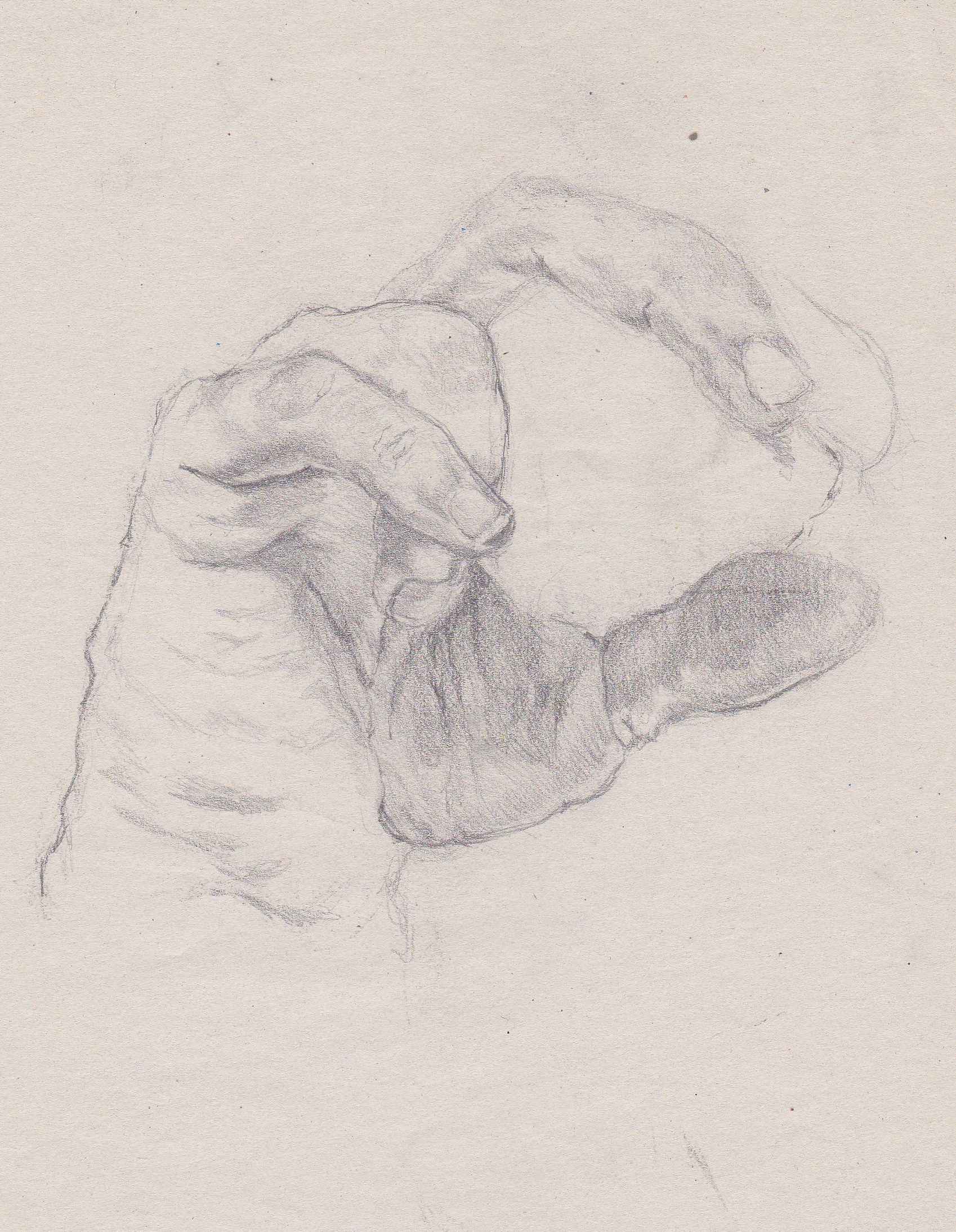 pencil on paper
