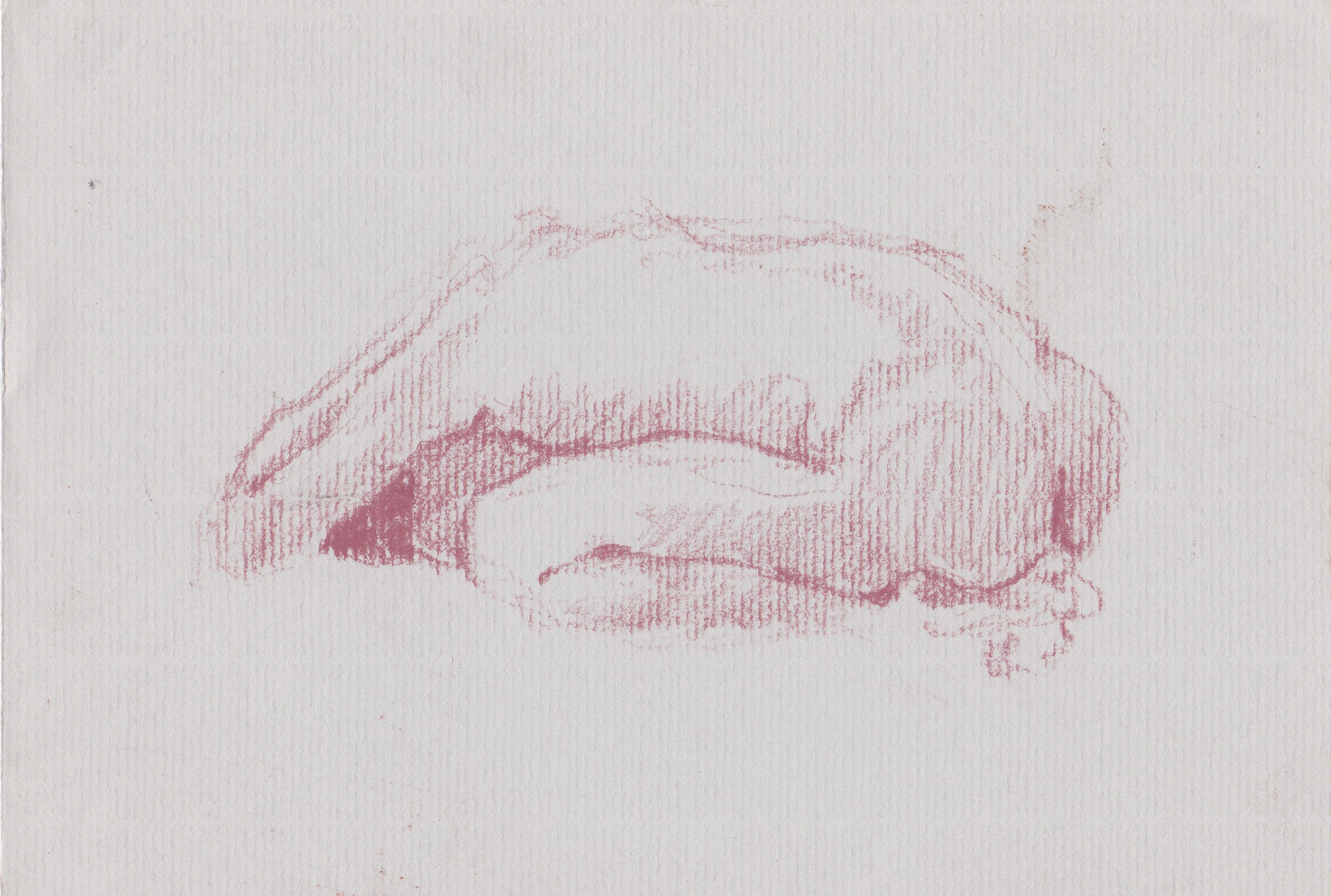 conte on paper